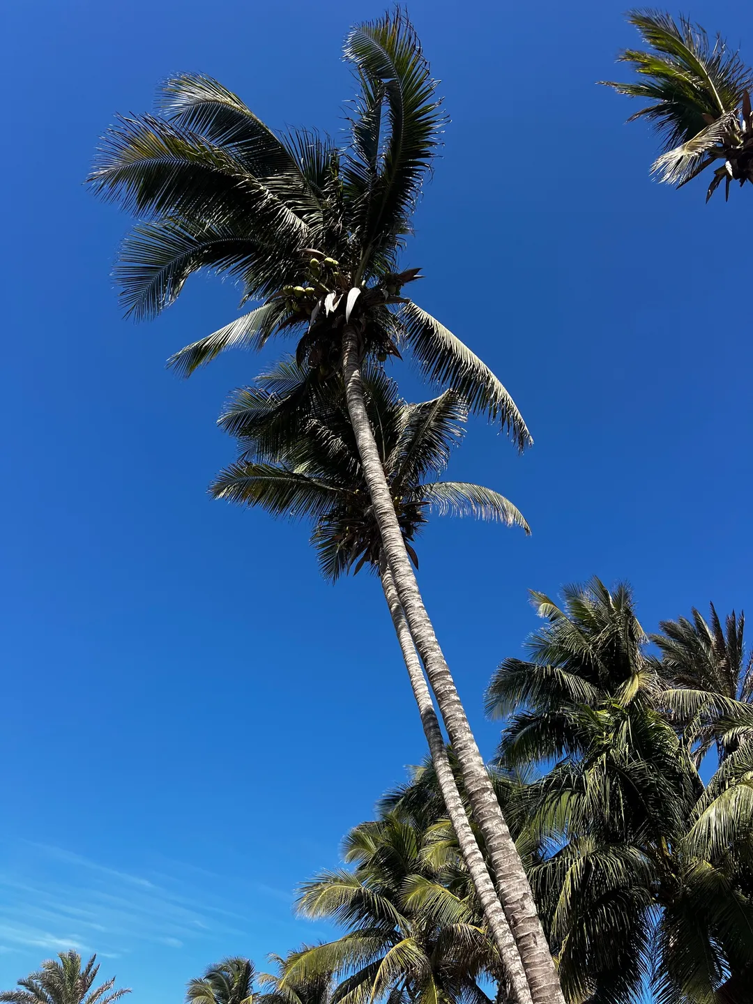 Ngor Surfcamp Teranga