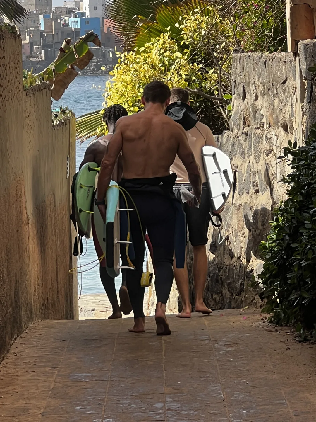 حياة الجزيرة بالصور 2