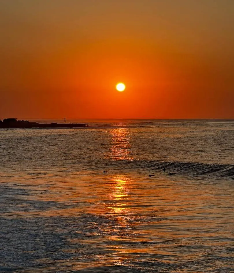 حياة الجزيرة بالصور 5
