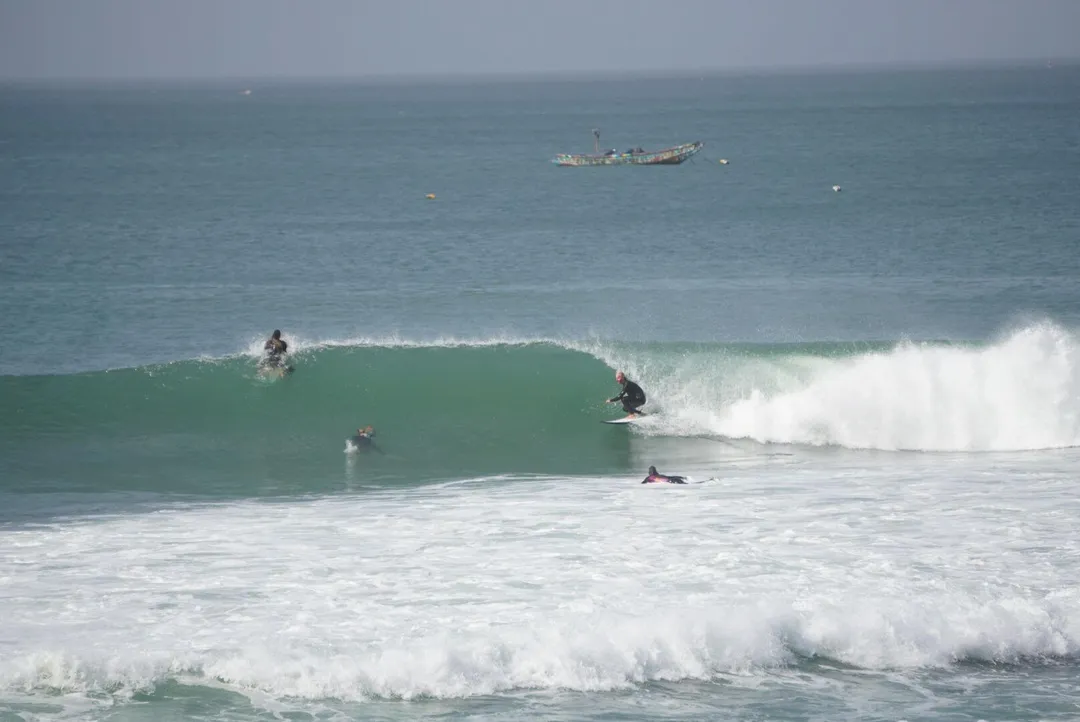 Surfer on a wave with palm frond