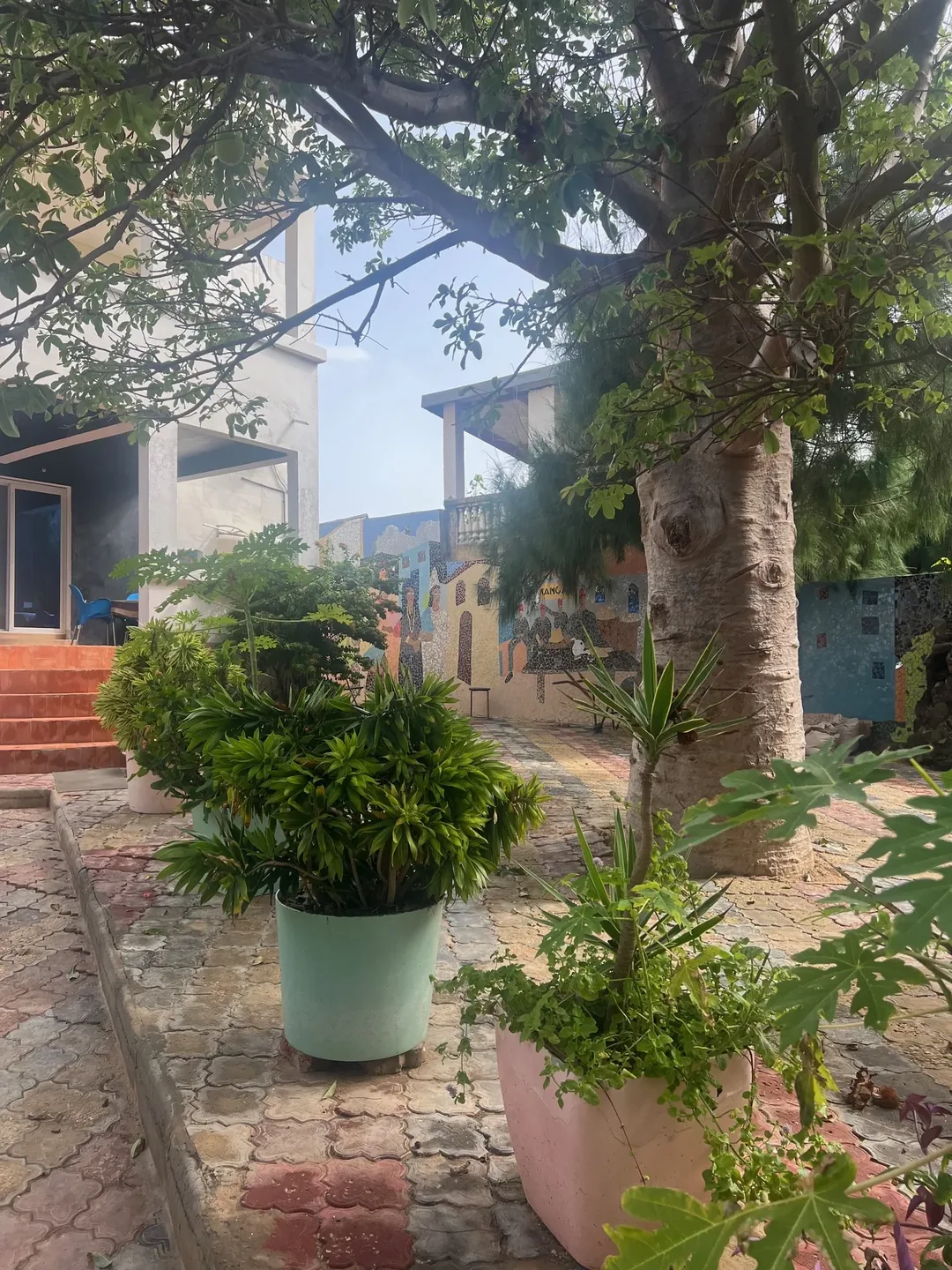 Lush greenery at Ngor Surfcamp entrance.