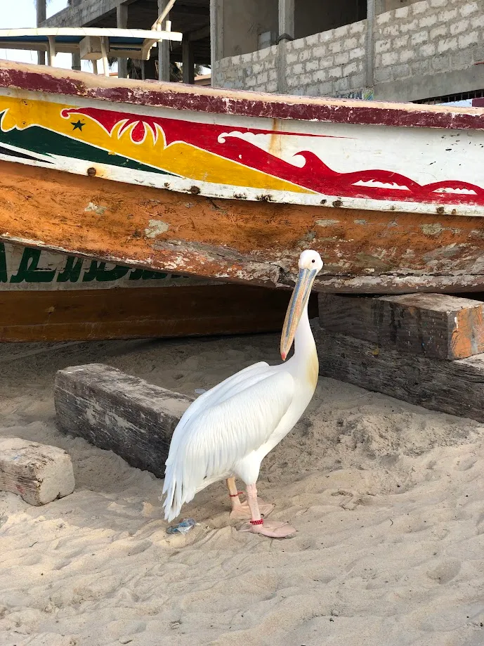 Ngor Surfcamp Teranga