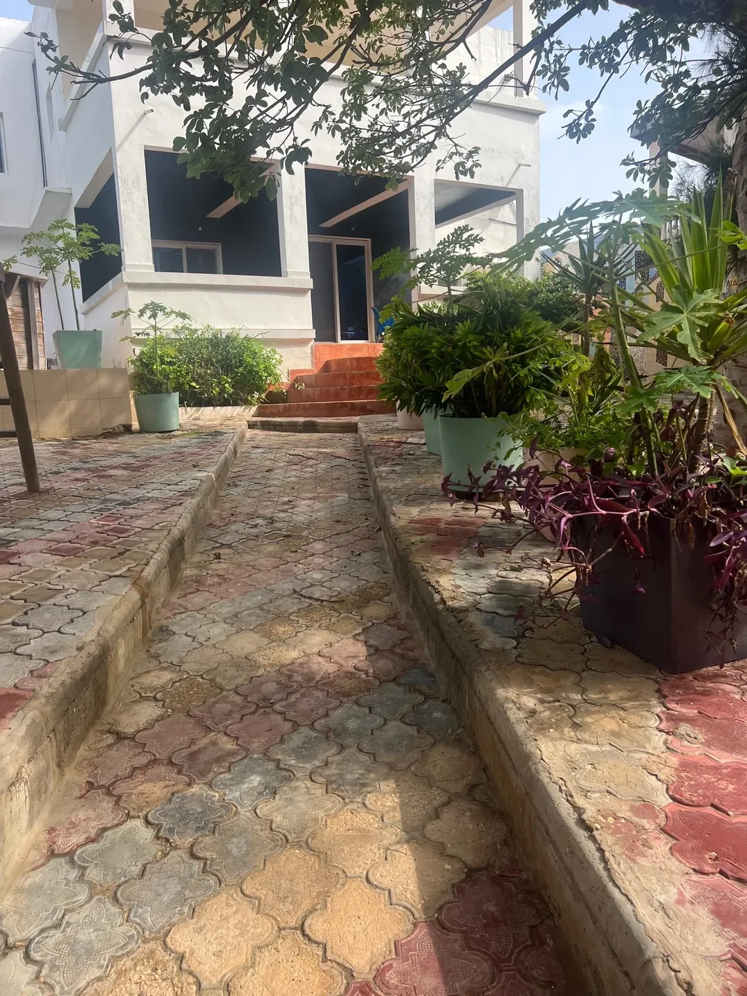 Pathway with plants at surf camp.