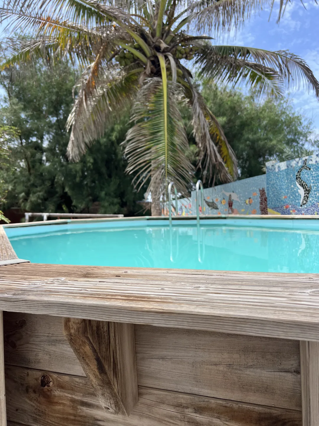 Un cadre paisible avec piscine et palmiers au surfcamp de l'île de Ngor.